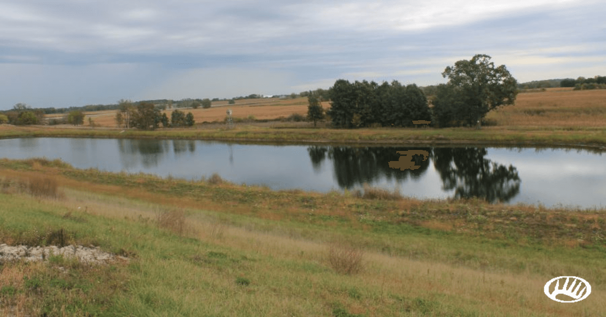 Featured Image for What Makes a Great Duck Hunting Property